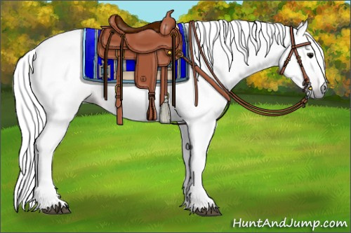 Horse Color:Gray Bay 