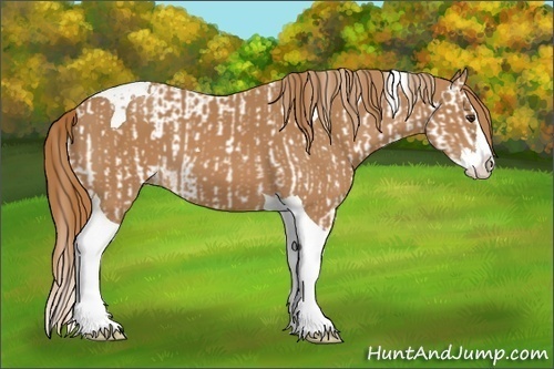 Horse Color:Chestnut Splash Tobiano  and Chestnut Splash Tobiano 