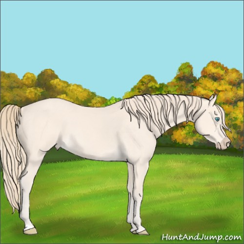 Horse Color:Perlino 