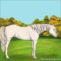 Horse Color:Perlino 