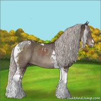Horse Color:Silver Black Tobiano Rabicano 
