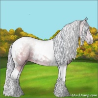 Horse Color:Watercolor Silver Grullo Tobiano 