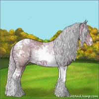 Horse Color:Watercolor Silver Black Pearl Tobiano 