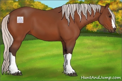 Horse Color:Silver Bay 