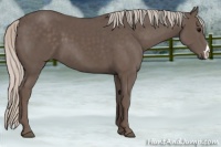 Horse Color:Silver Black 