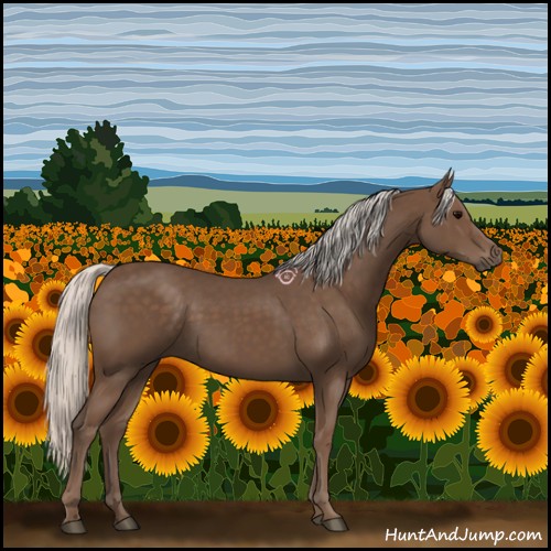 Horse Color:Silver Black