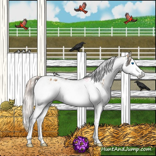 Horse Color:Chestnut Splash Tobiano  and Gray Chestnut Splash Tobiano 