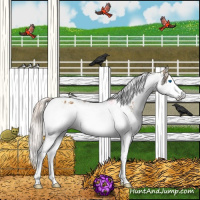 Horse Color:Chestnut Splash Tobiano  and Gray Chestnut Splash Tobiano 
