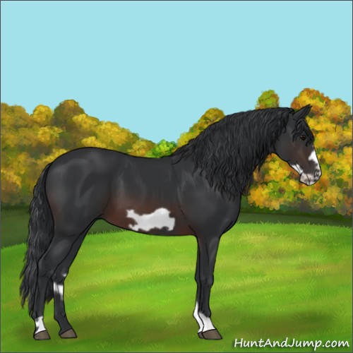 Horse Color:Brown Frame