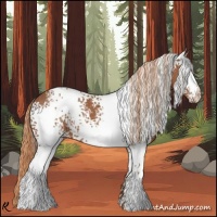 Horse Color:White Spotted Chestnut 