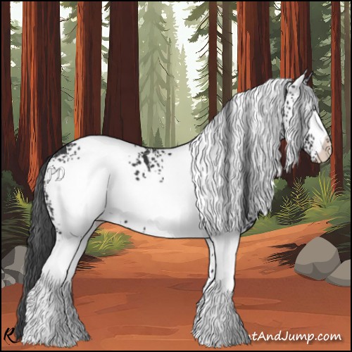 Horse Color:White Spotted Black