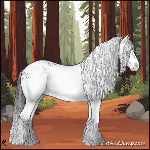 Horse Color:White Spotted Liver Red Dun Splash 