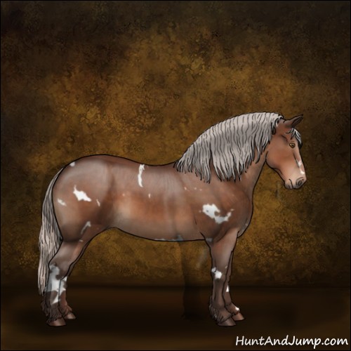 Horse Color:White Spotted Silver Brown 