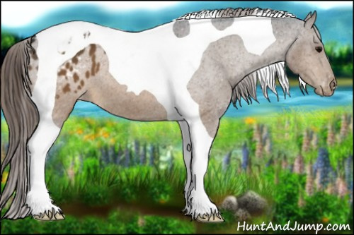 Horse Color:Brown Tobiano Blanket