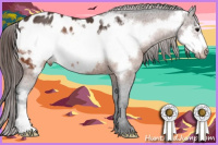 Horse Color:Bay Frame Appaloosa Rabicano 