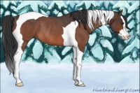 Horse Color:Brown Roan Splash Tobiano Rabicano 