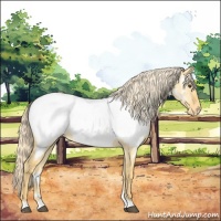 Horse Color:Palomino Dun Near Fewspot 