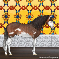 Horse Color:Bay Splash Frame Rabicano