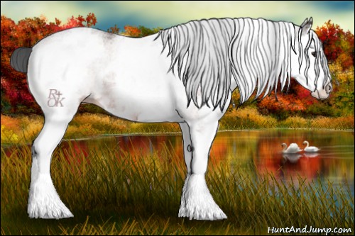 Horse Color:White Spotted Brown Splash