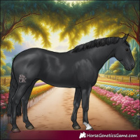 Horse Color:Black 