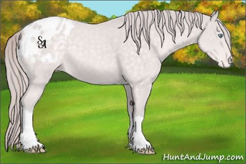 Horse Color:Platinum Perlino Appaloosa 