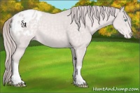 Horse Color:Platinum Perlino Blanket 