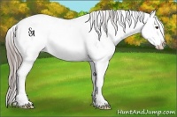 Horse Color:Platinum Red Dun Sabino Splash Appaloosa Rabicano 