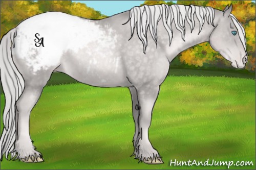Horse Color:Platinum Chocolate Palomino Pearl Appaloosa 
