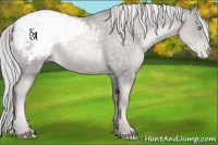Horse Color:Platinum Chocolate Palomino Pearl Appaloosa 