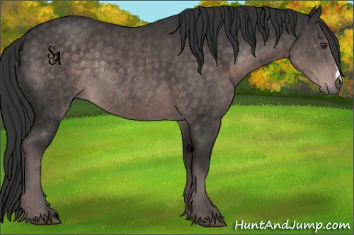 Horse Color:Platinum Liver Chestnut Rabicano 