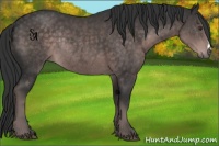 Horse Color:Platinum Liver Chestnut Rabicano 