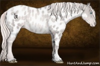Horse Color:Platinum Chocolate Palomino Pearl Appaloosa 
