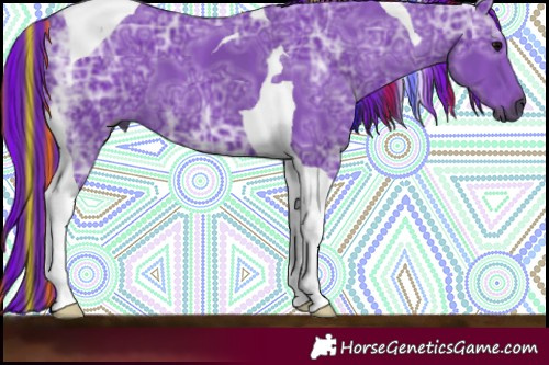 Horse Color:Gray Painted Watercolor Black Ice Tobiano