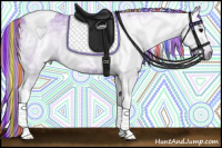 Horse Color:Gray Painted Watercolor Black Ice Tobiano