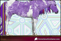 Horse Color:Gray Painted Watercolor Black Ice Tobiano 