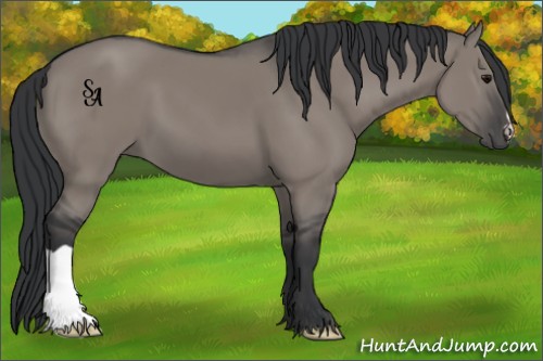 Horse Color:Platinum Grullo