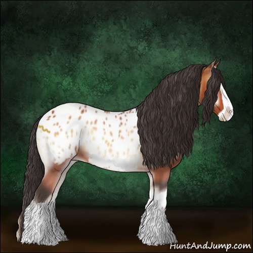 Horse Color:Bay Onyx Splash Appaloosa 