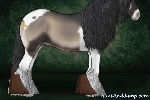 Horse Color:Blue Onyx Tobiano 