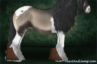 Horse Color:Blue Onyx Tobiano 