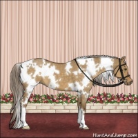 Horse Color:White Spotted Chocolate Palomino Dun