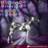 Horse Color:White Spotted Smoky Black 