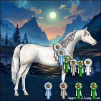 Horse Color:White Spotted Cremello 