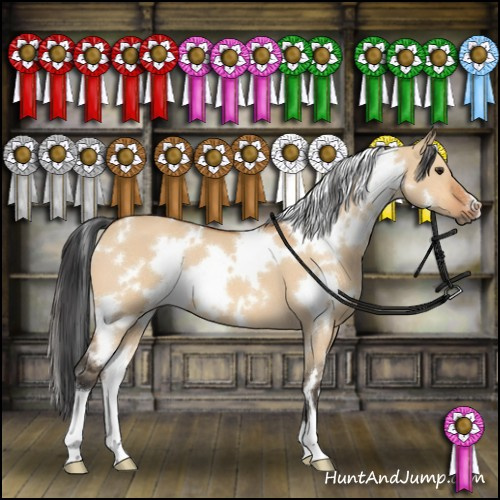 Horse Color:White Spotted Bay Dun