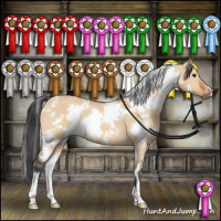 Horse Color:White Spotted Bay Dun
