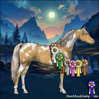 Horse Color:White Spotted Palomino