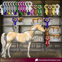 Horse Color:White Spotted Palomino Dun 
