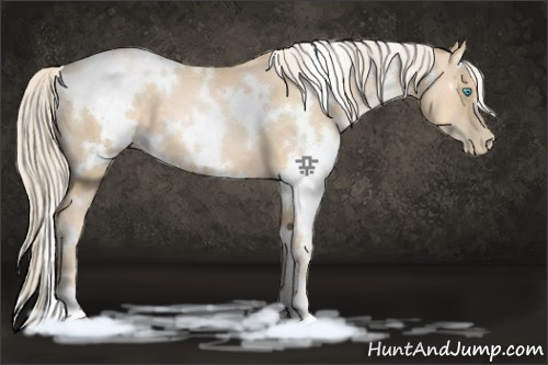 Horse Color:White Spotted Palomino Pearl 