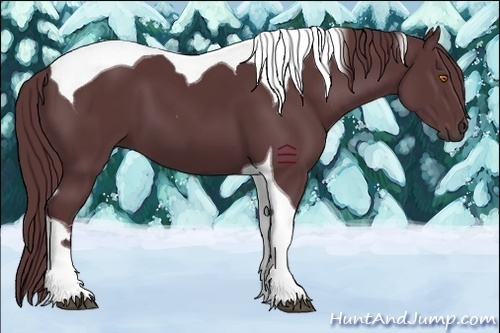 Horse Color:Chocolate Black Sabino Tobiano 