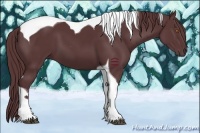 Horse Color:Chocolate Black Sabino Tobiano 