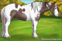 Horse Color:Chocolate Black Sabino Tobiano